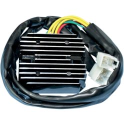 Stator RICK'S MOTORSPORT ELECTRIC 10-008