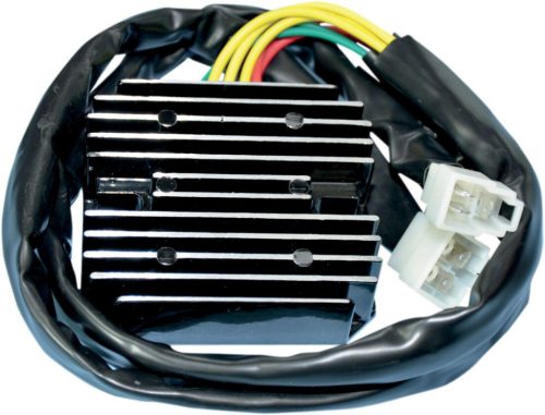 Stator RICK'S MOTORSPORT ELECTRIC 10-008