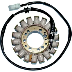 Stator RICK'S MOTORSPORT ELECTRIC 21-014