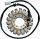 Stator Triumph 21-014