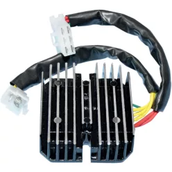 Reg Rec 10 132 RICK'S MOTORSPORT ELECTRIC 10-132