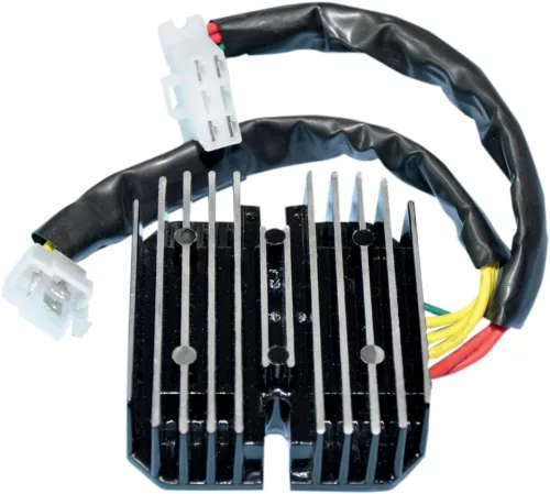 Reg Rec 10 132 RICK'S MOTORSPORT ELECTRIC 10-132