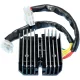 Reg Rec 10 132 RICK'S MOTORSPORT ELECTRIC 10-132