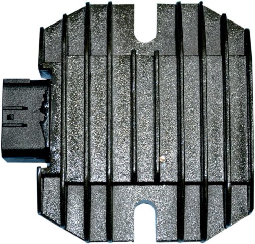 Stator RICK'S MOTORSPORT ELECTRIC 10-315