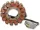 Stator RICK'S MOTORSPORT ELECTRIC 21-233