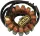 Stator RICK'S MOTORSPORT ELECTRIC 21-234