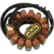 Stator RICK'S MOTORSPORT ELECTRIC 21-234