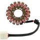 Stator RICK'S MOTORSPORT ELECTRIC 21-418