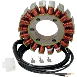 Stator 21 421 RICK'S MOTORSPORT ELECTRIC 21-421