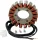 Stator 21 421 RICK'S MOTORSPORT ELECTRIC 21-421