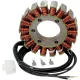 Stator 21 421 RICK'S MOTORSPORT ELECTRIC 21-421