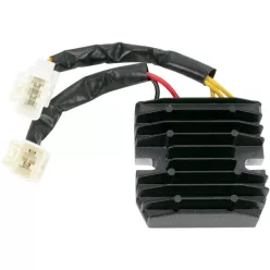 Stator RICK'S MOTORSPORT ELECTRIC 10-129H