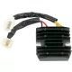 Stator RICK'S MOTORSPORT ELECTRIC 10-129H
