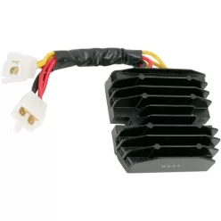 Stator RICK'S MOTORSPORT ELECTRIC 10-219H