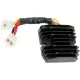 Stator RICK'S MOTORSPORT ELECTRIC 10-219H