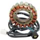 Stator Suzuki 21-807H