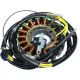 Stator RICK'S MOTORSPORT ELECTRIC 21-560