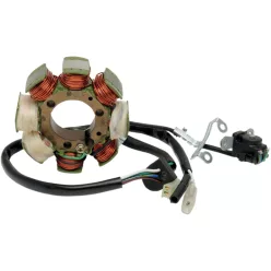 Stator RICK'S MOTORSPORT ELECTRIC 21-625H