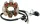 Stator RICK'S MOTORSPORT ELECTRIC 21-625H