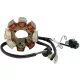 Stator RICK'S MOTORSPORT ELECTRIC 21-625H