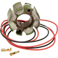 Stator RICK'S MOTORSPORT ELECTRIC 21-811