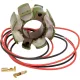 Stator RICK'S MOTORSPORT ELECTRIC 21-811