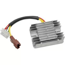 Stator RICK'S MOTORSPORT ELECTRIC 10-003