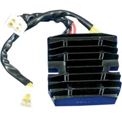 Stator RICK'S MOTORSPORT ELECTRIC 10-009H