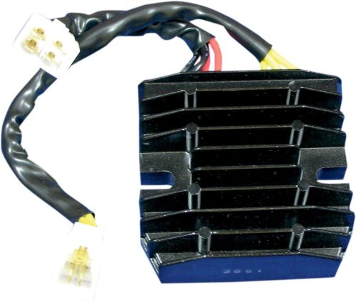 Stator RICK'S MOTORSPORT ELECTRIC 10-009H