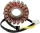 Stator RICK'S MOTORSPORT ELECTRIC 21-328