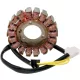Stator RICK'S MOTORSPORT ELECTRIC 21-328