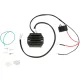 Reg Rec H S RICK'S MOTORSPORT ELECTRIC 10-135H