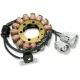 Stator RICK'S MOTORSPORT ELECTRIC 21-924