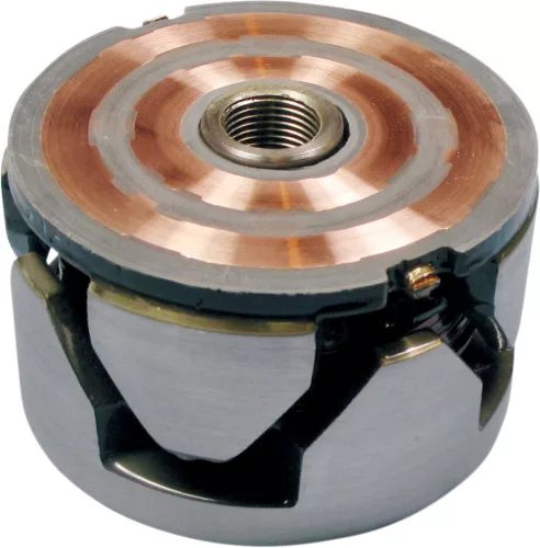 Alternator Disc RICK'S MOTORSPORT ELECTRIC 41-101