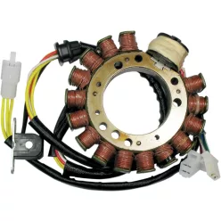 Stator 21 817 RICK'S MOTORSPORT ELECTRIC 21-817