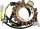 Stator 21 817 RICK'S MOTORSPORT ELECTRIC 21-817