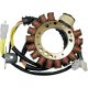 Stator Suzuki 21-817