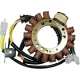 Stator 21 817 RICK'S MOTORSPORT ELECTRIC 21-817