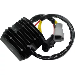 Stator RICK'S MOTORSPORT ELECTRIC 10-016H