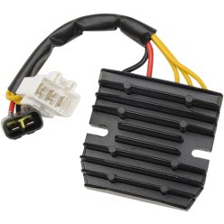 Stator RICK'S MOTORSPORT ELECTRIC 10-211H