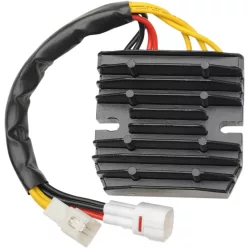 Stator RICK'S MOTORSPORT ELECTRIC 10-227H