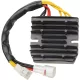 Stator RICK'S MOTORSPORT ELECTRIC 10-227H