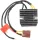 Stator RICK'S MOTORSPORT ELECTRIC 10-013H
