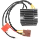 Stator RICK'S MOTORSPORT ELECTRIC 10-013H