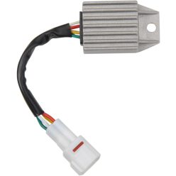 Stator RICK'S MOTORSPORT ELECTRIC 10-704