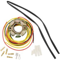 Stator RICK'S MOTORSPORT ELECTRIC 21-0099H