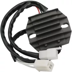 Stator RICK'S MOTORSPORT ELECTRIC 10-020