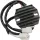 Stator RICK'S MOTORSPORT ELECTRIC 10-020