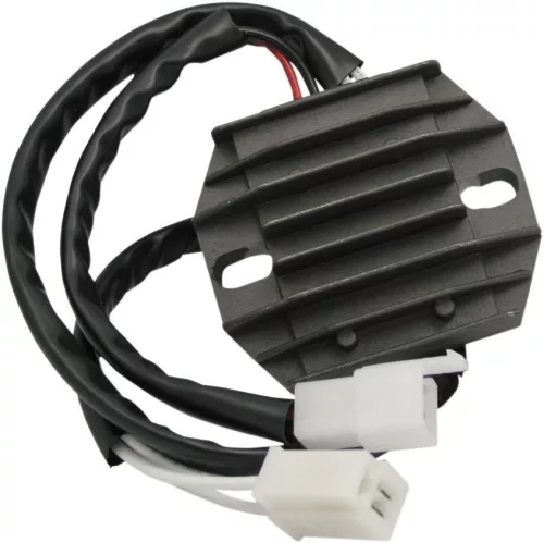 Stator RICK'S MOTORSPORT ELECTRIC 10-020