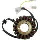 Stator RICK'S MOTORSPORT ELECTRIC 21-0096
